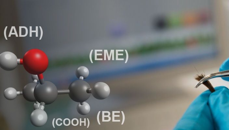 how-to-destroy-metabolites-in-hair